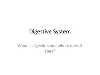 Digestive System