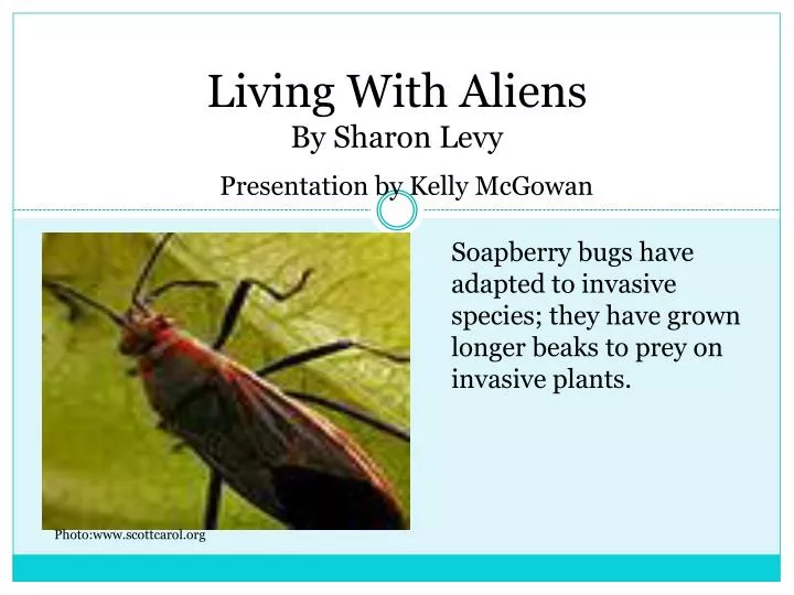 living with aliens by sharon levy