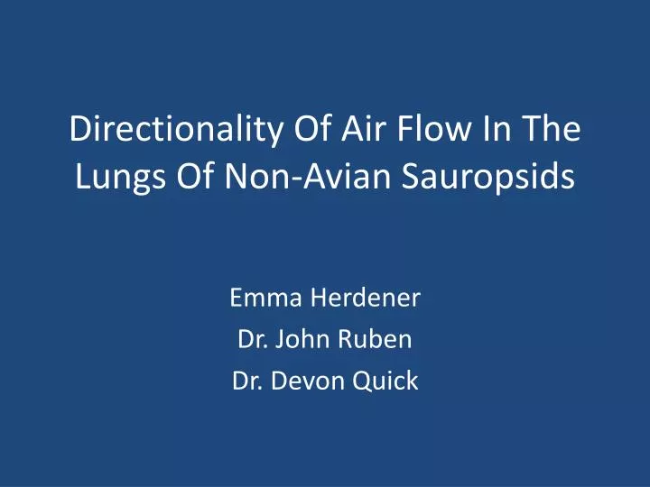 directionality of air flow in t he lungs of non avian sauropsids