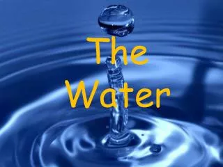 The Water