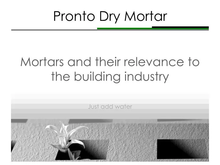 pronto dry mortar