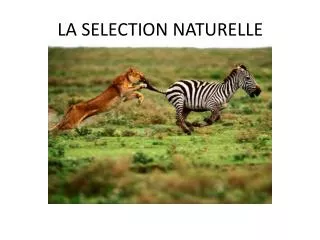 la selection naturelle