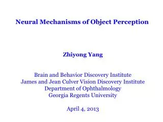 Neural Mechanisms of Object Perception