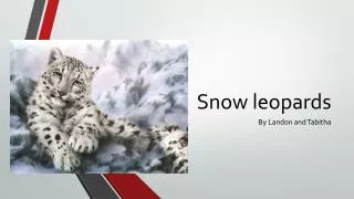 Snow leopards