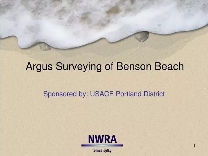 argus surveying of benson beach