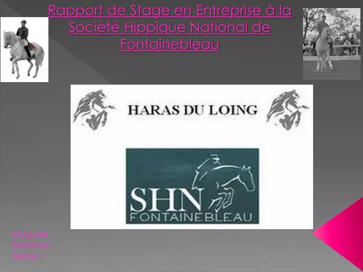 rapport de stage en entreprise la soci t hippique national de fontainebleau