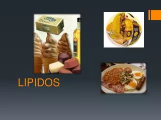 lipidos