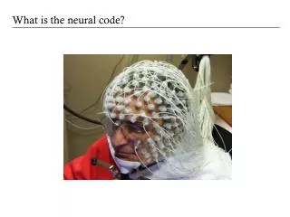 What is the neural code?