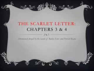 The Scarlet Letter: Chapters 3 &amp; 4