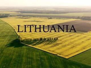 LITHUANIAN QUALITIES