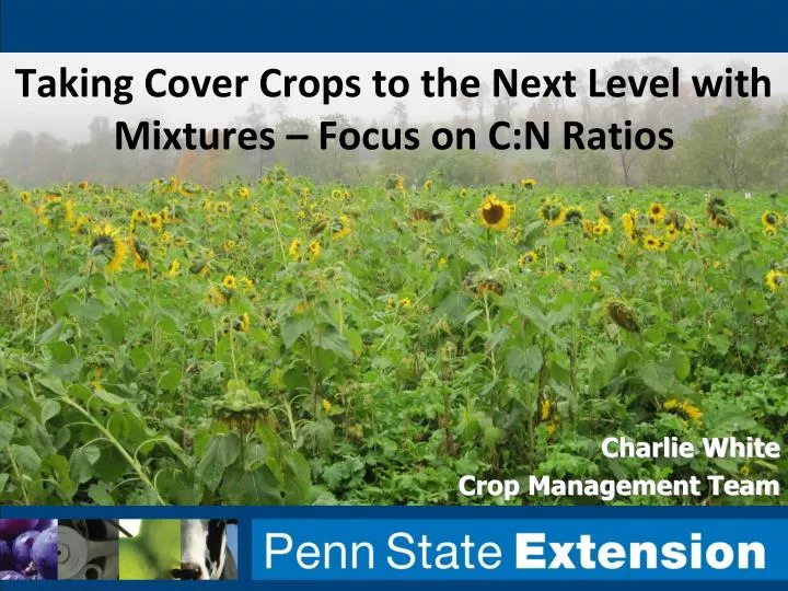 taking cover crops to the next level with mixtures focus on c n ratios