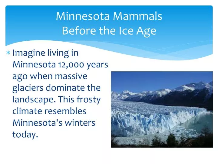 minnesota mammals before the ice age