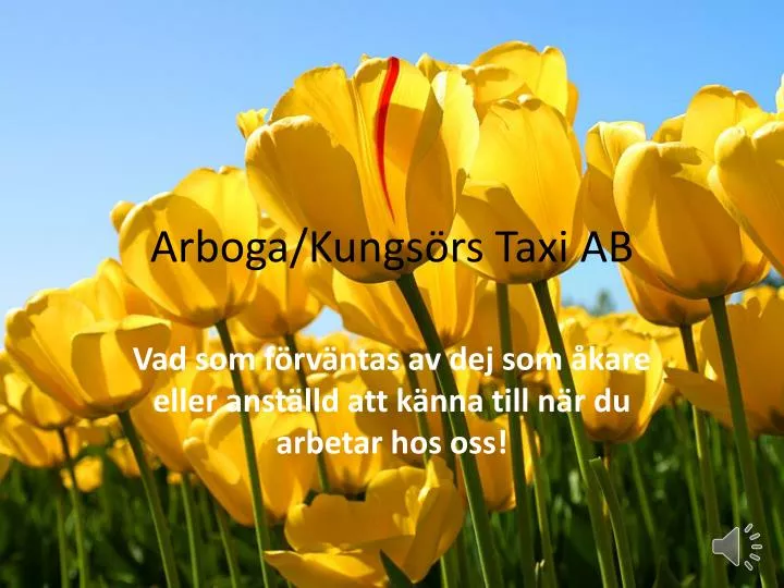 arboga kungs rs taxi ab