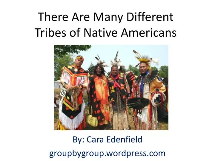 there are many different tribes of native americans