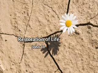 Restoration of Life John 11