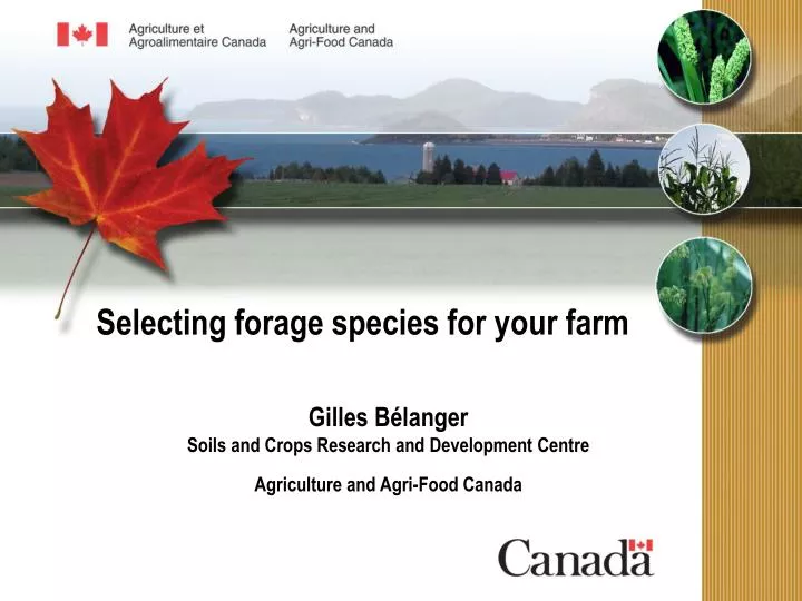 selecting forage species for your farm