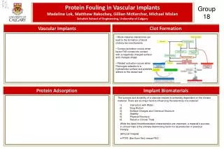 Protein Fouling in Vascular Implants
