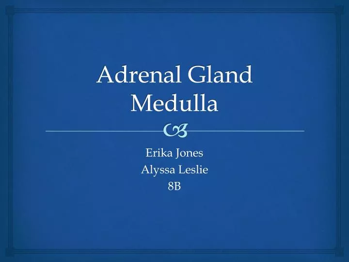 adrenal gland medulla