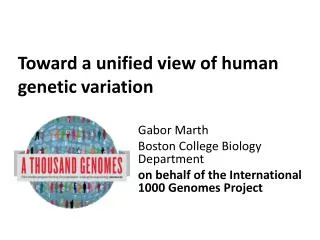 Toward a unified view of human genetic variation