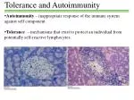 Tolerance and Autoimmunity - slide 1