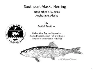 Southeast Alaska Herring