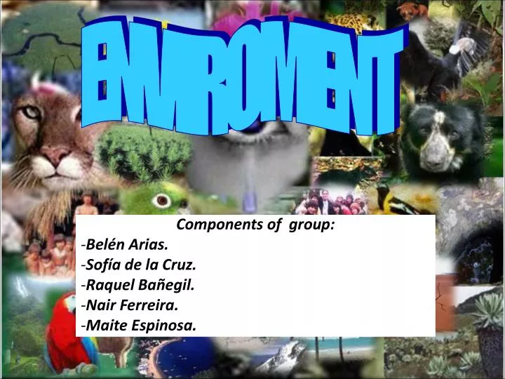 components of group bel n arias sof a de la cruz raquel ba egil nair ferreira maite espinosa