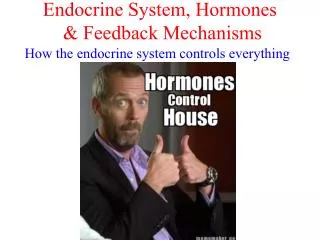 Endocrine System, Hormones &amp; Feedback Mechanisms