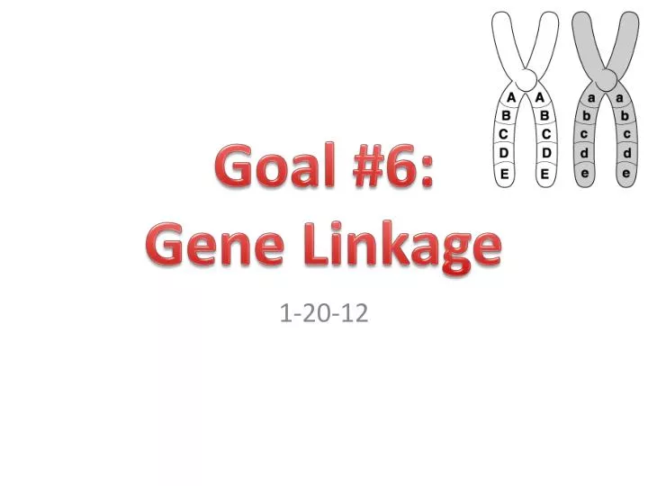 goal 6 gene linkage