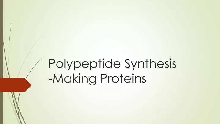 polypeptide synthesis making proteins