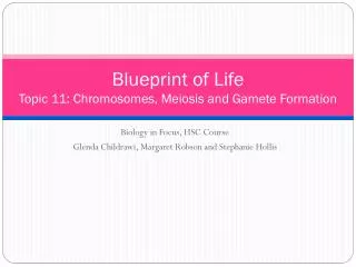 Blueprint of Life Topic 11: Chromosomes, Meiosis and Gamete Formation