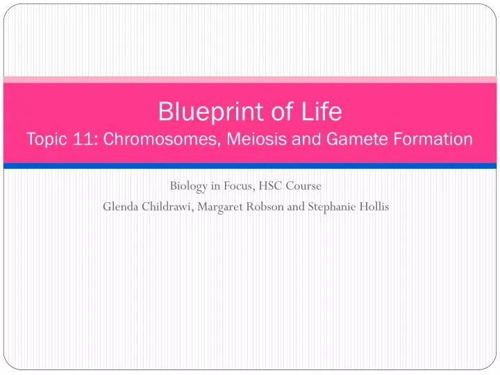 blueprint of life topic 11 chromosomes meiosis and gamete formation