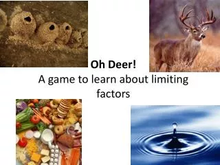 Oh Deer! A game to learn about limiting factors