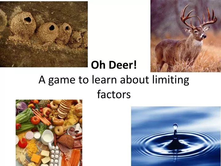 oh deer a game to learn about limiting factors