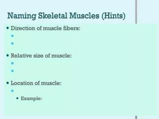 Naming Skeletal Muscles (Hints)