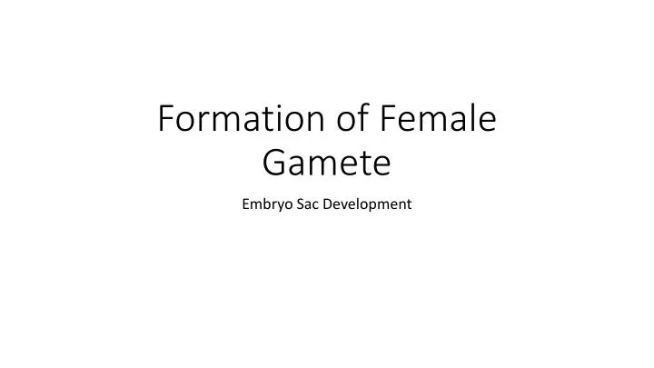 formation of female gamete