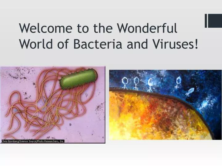 welcome to the wonderful world of bacteria and viruses