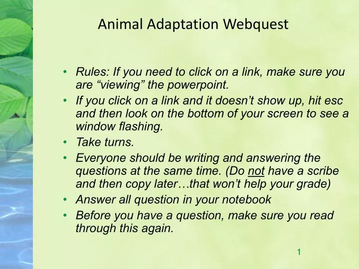 animal adaptation webquest