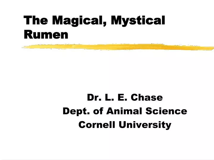 the magical mystical rumen