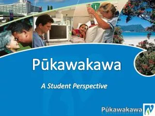 p kawakawa