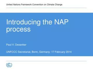 The background of the NAP process