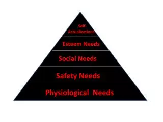 Physiological Needs