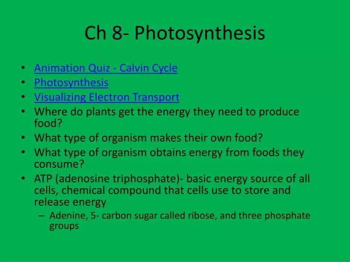 ch 8 photosynthesis