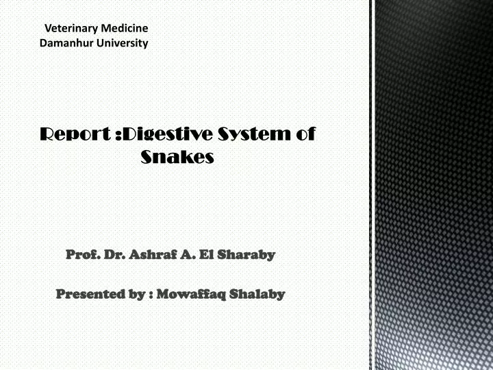 report digestive system of snakes