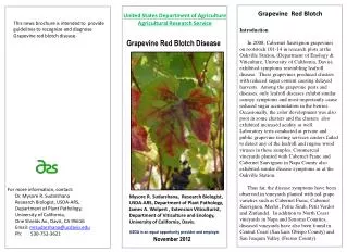 Grapevine Red Blotch Disease