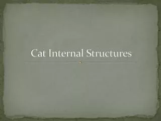 Cat Internal Structures