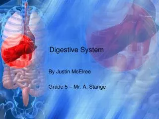 digestive system