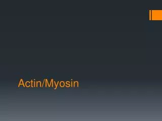 actin myosin