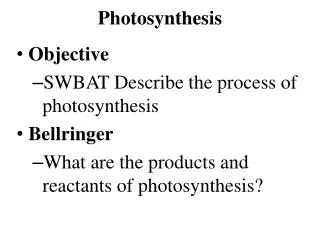 Photosynthesis