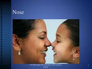 Nose