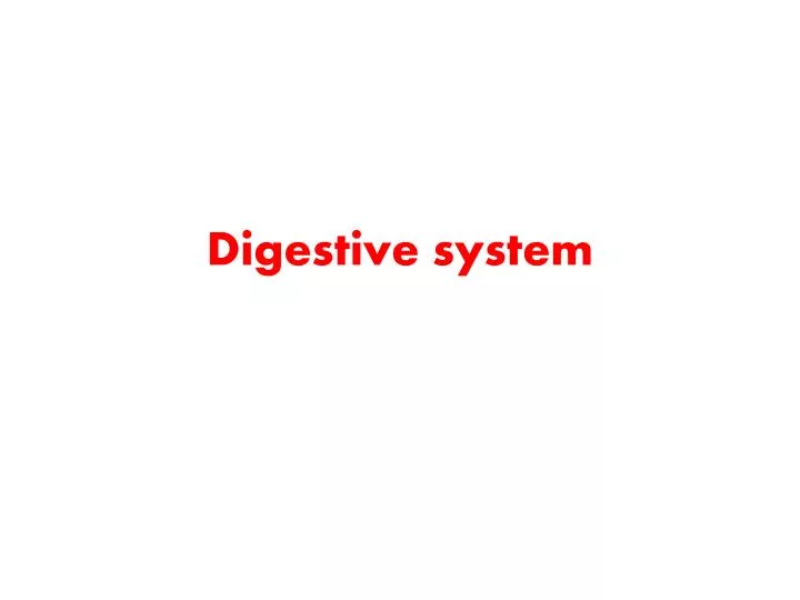 digestive system